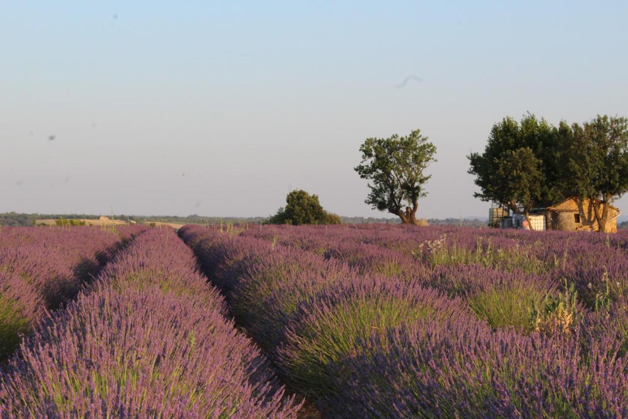 Le Mas Du Colombier Cadenet Luaran gambar