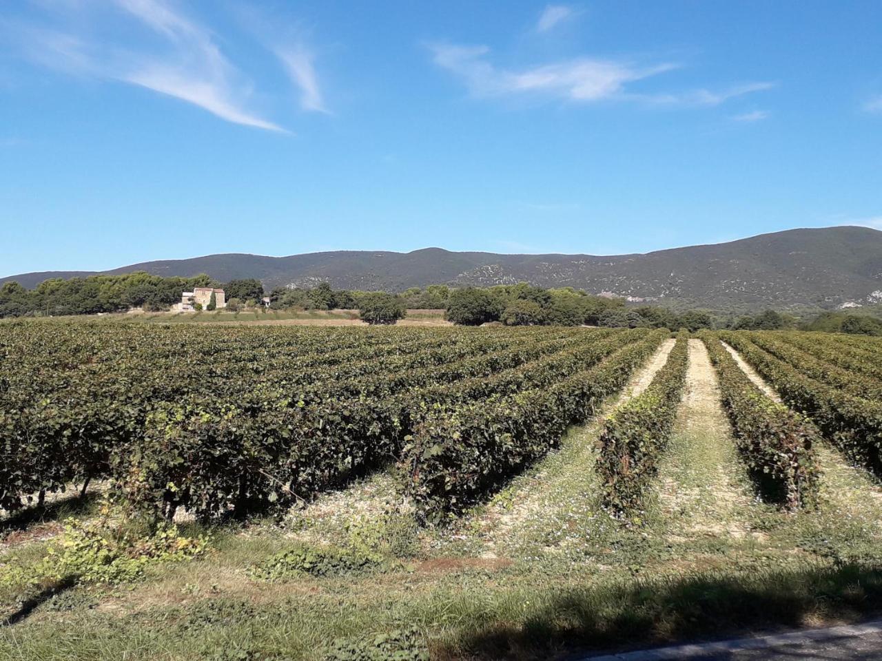 Le Mas Du Colombier Cadenet Luaran gambar