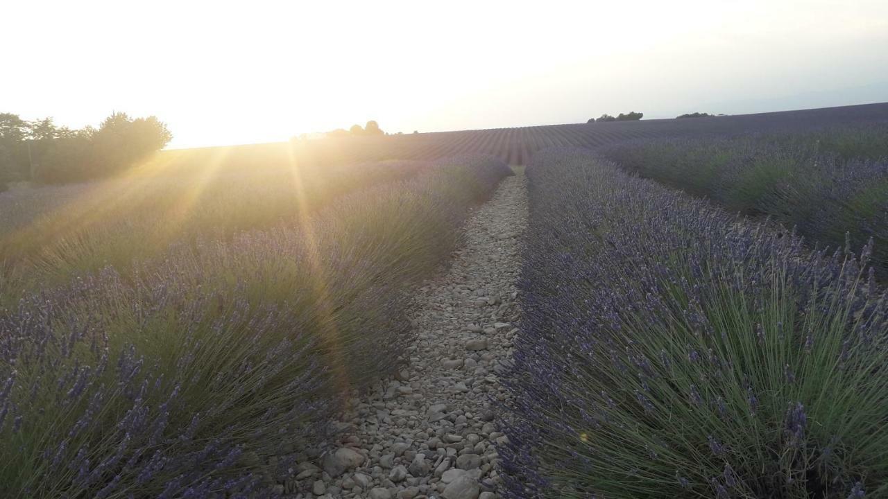 Le Mas Du Colombier Cadenet Luaran gambar